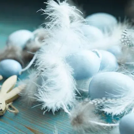 Haus Keuthen 奥尔斯贝格